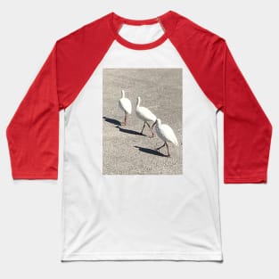 Three pelicans by the river Baseball T-Shirt